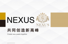 NEXUS外汇是正规平台吗外汇保险交易是什么？