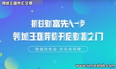 全球顶级的外汇经纪商 哪家外汇交易平台好