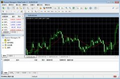 financemanagersMetaTrader4