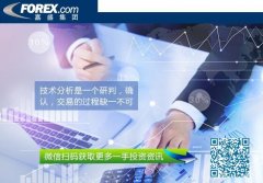 嘉盛集团：分析与研判美