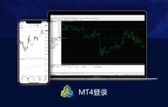 或根据提示直接下载软件