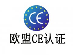 ecn的中文意思而且指令的