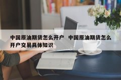 如果投资者想进入原油市