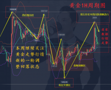 法人开户殊不知机构已准