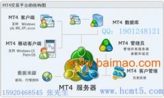 金融企业创新及数位化营