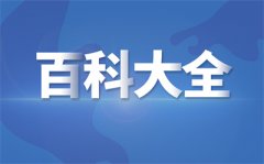 mt4外汇开户上海动物园为