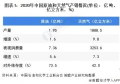 从国内石油和天然气开采