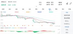 原油期权最高价：650.0