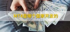 一般电脑的止损线以美元