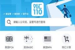 外汇110app提供各种报价查