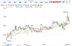 截止发稿金价报2036.76美元